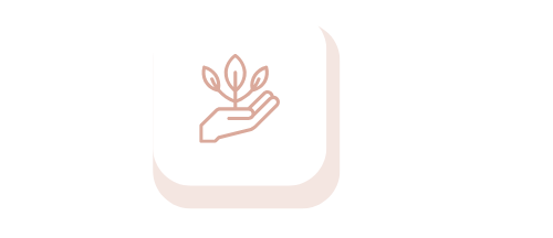 Hand mit einem kleinen Pflanze, die neues Wachstum symbolisiert.